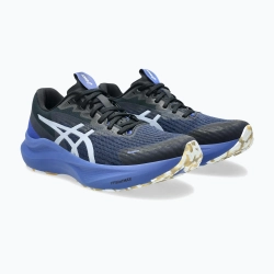 Кроссовки для бега ASICS GT-2000 14 Lite-Show lite-show/dark cobalt