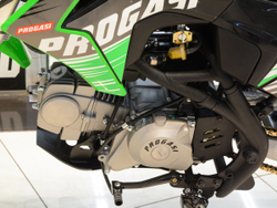 Питбайк PROGASI SMART 5 MINI 125CC GREEN 14/12 (Полуавтоматическая КПП)