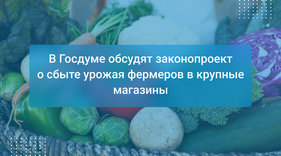 В Госдуме обсудят законопроект о сбыте урожая фермеров в крупные магазины