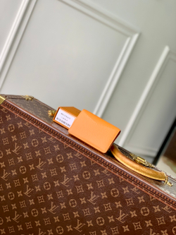 Louis Vuitton Pocket Organizer
