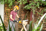 Пила сетевая WORX WG307E JawSaw