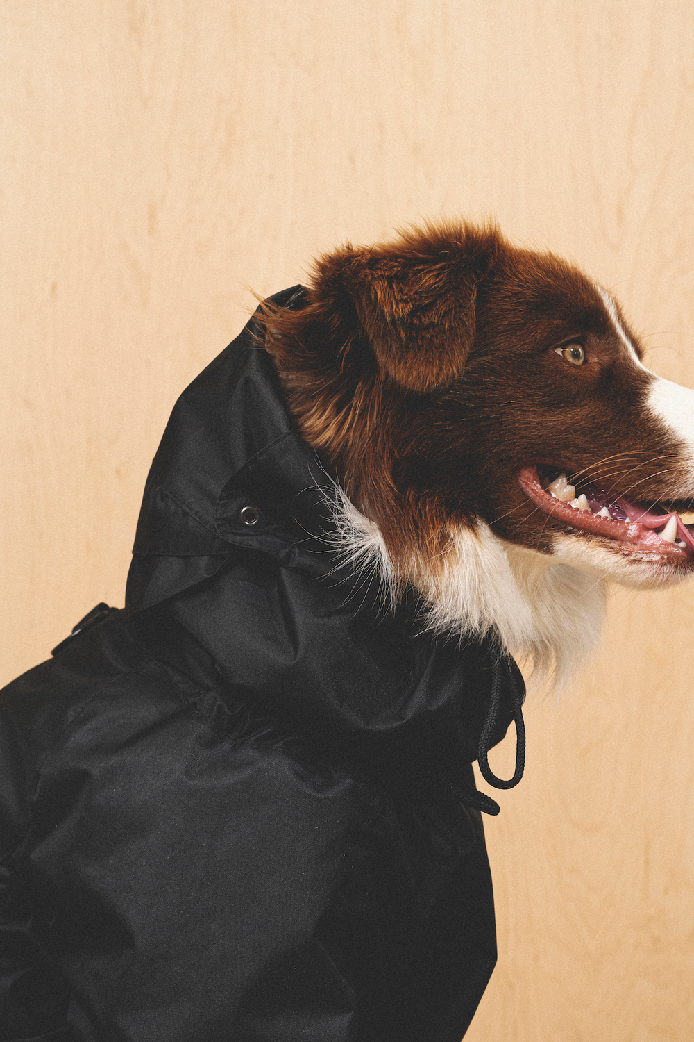 Комбинезон "Пони-комбинезони" черный