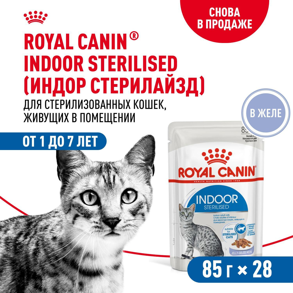 Royal Canin Indoor Sterilized Корм консервированный для взрослых кошек желе 85г