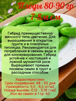 Семена Огурец Изобильный F1 Пчелоопыляемый раннеспелый 2гр