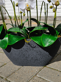 Искусственные Орхидеи белые 7 веток 50см в кашпо Лофт