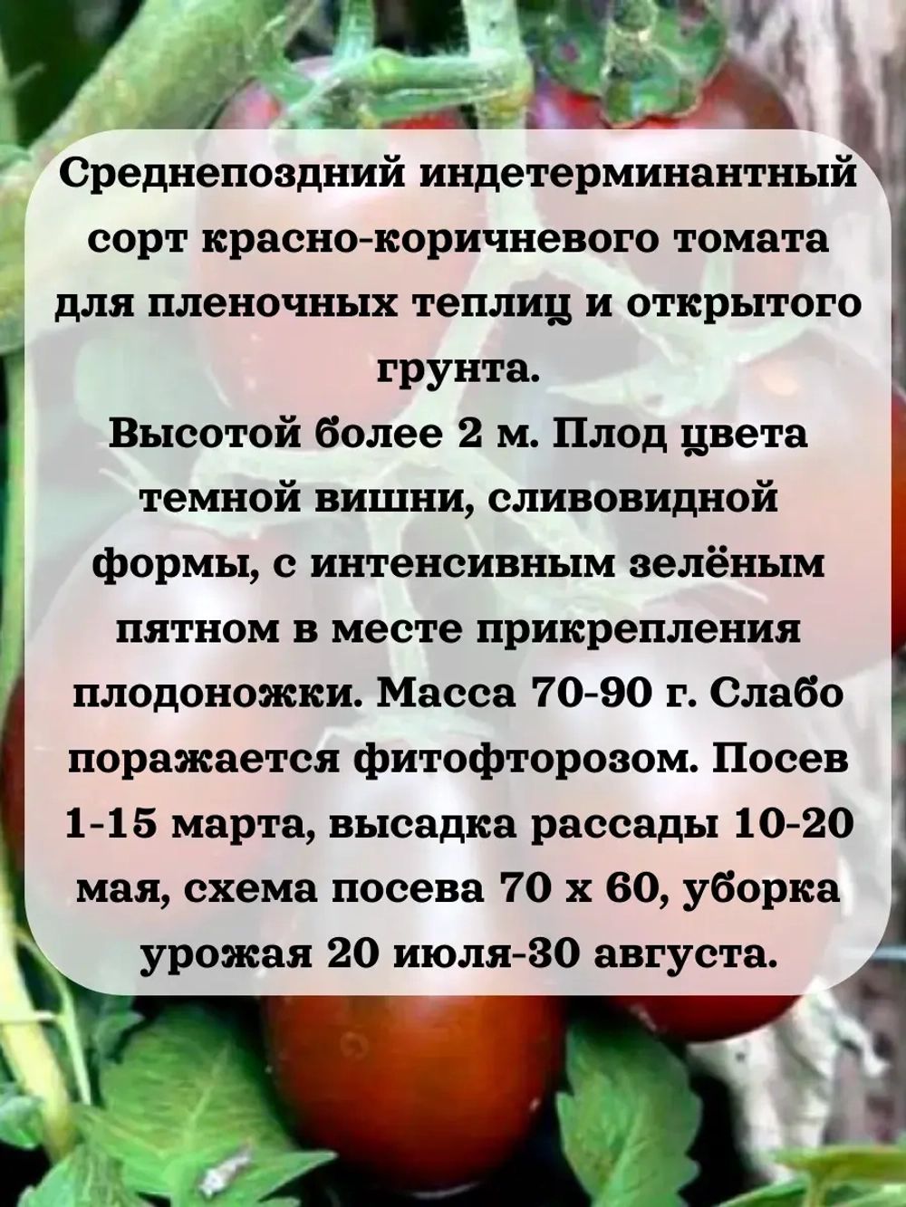 Семена Томат Де Барао набор 4 штуки