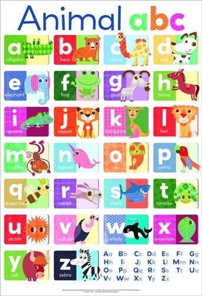 Animal ABC chart (laminated, 520x760mm)