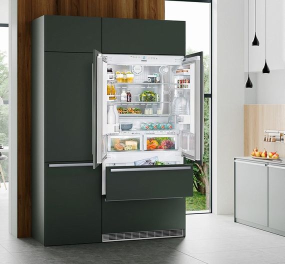 Холодильник Liebherr ECBN 6256