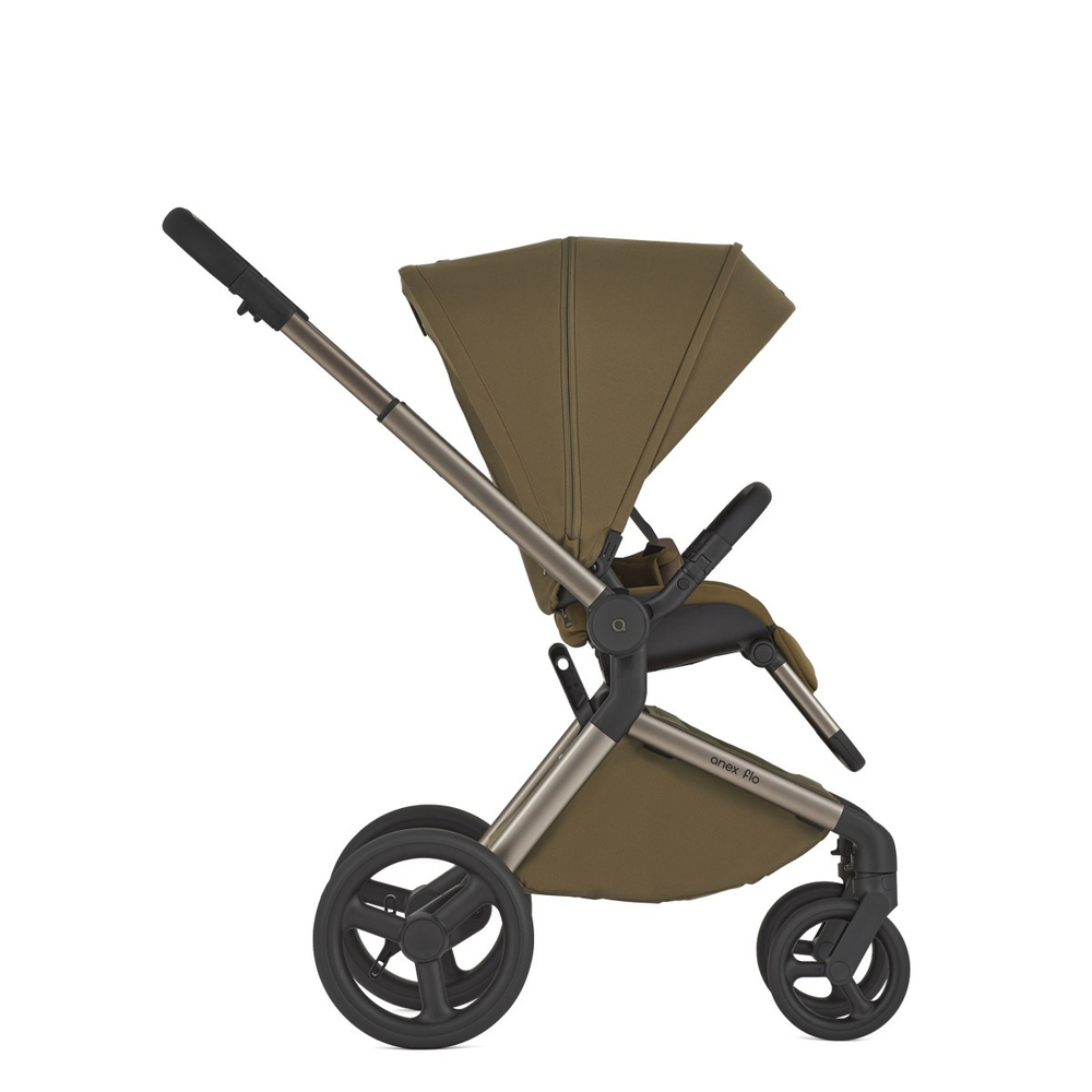 Anex Детская коляска Flo 2 в 1 Astra