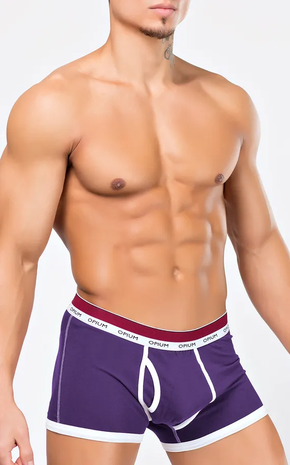 Мужские трусы R-114 Violet