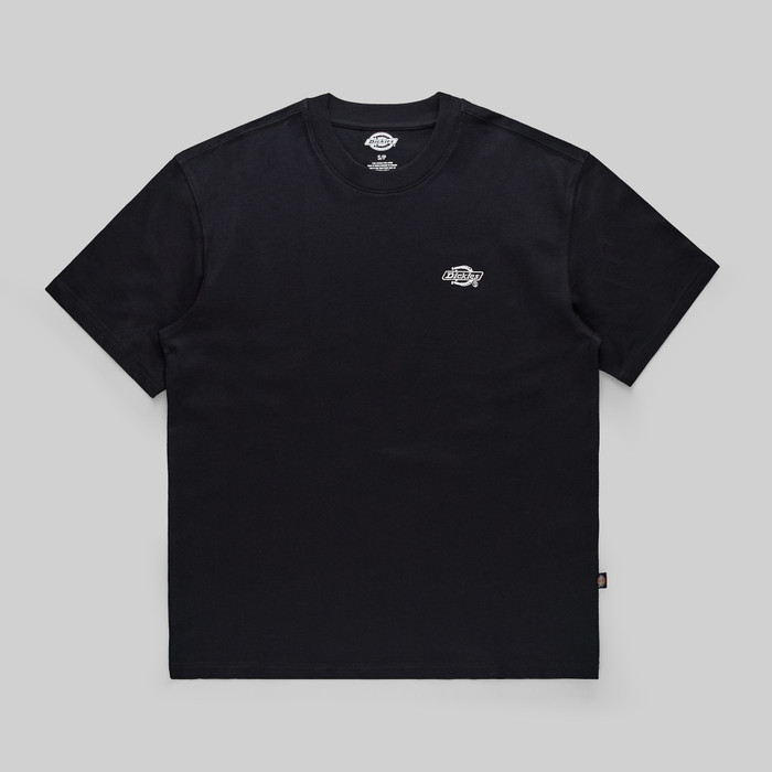 Футболка мужская Dickies Summerdale Tee артикул:DK0A4YAIBLK1 - купить в магазине Дайс