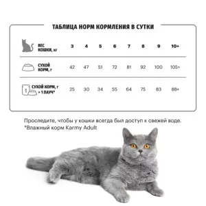 Сухой корм для кошек породы Британская короткошерстная, Karmy British Shorthair ADULT, с индейкой