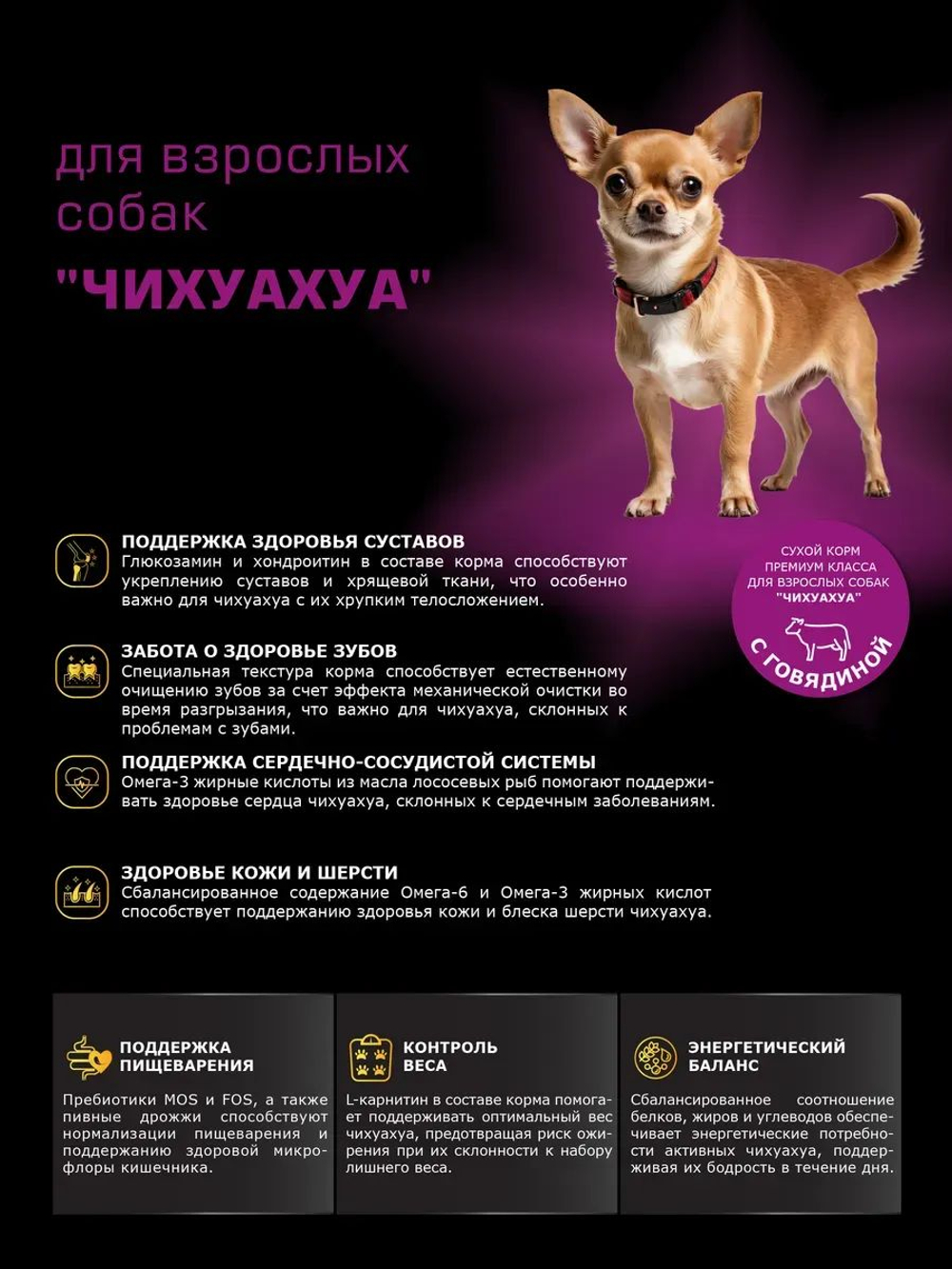 Корм сухой для взрослых собак породы Чихуахуа, с говядиной, 800 гр, QUATTRO