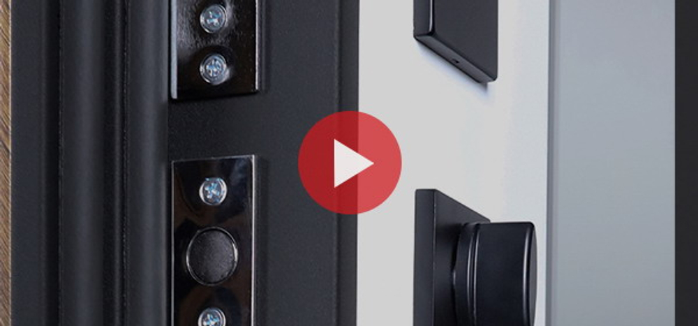 Стальная дверь "Plata" с зеркалом (биометрический замок DZ 888)