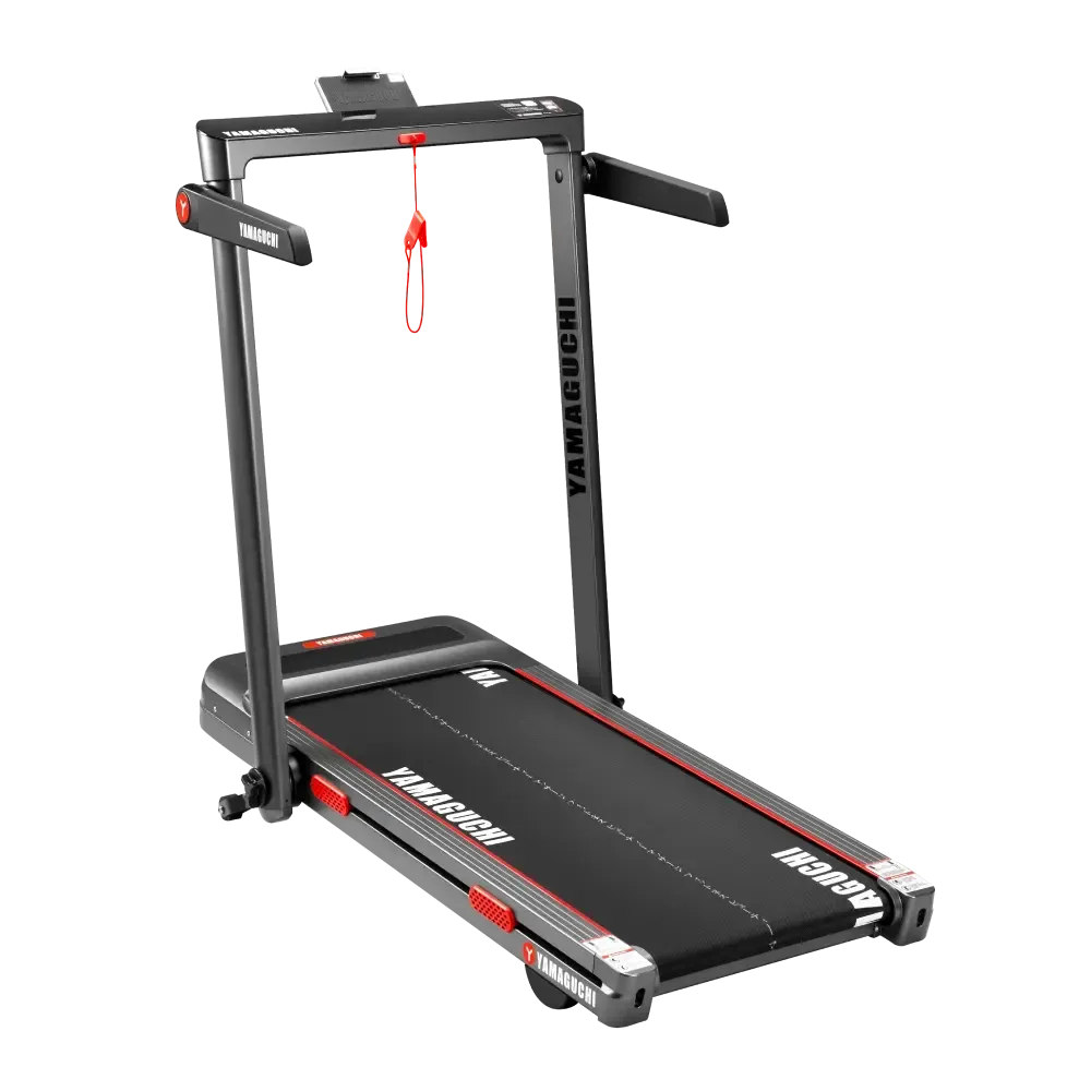 Беговая дорожка Yamaguchi Home RACE Incline