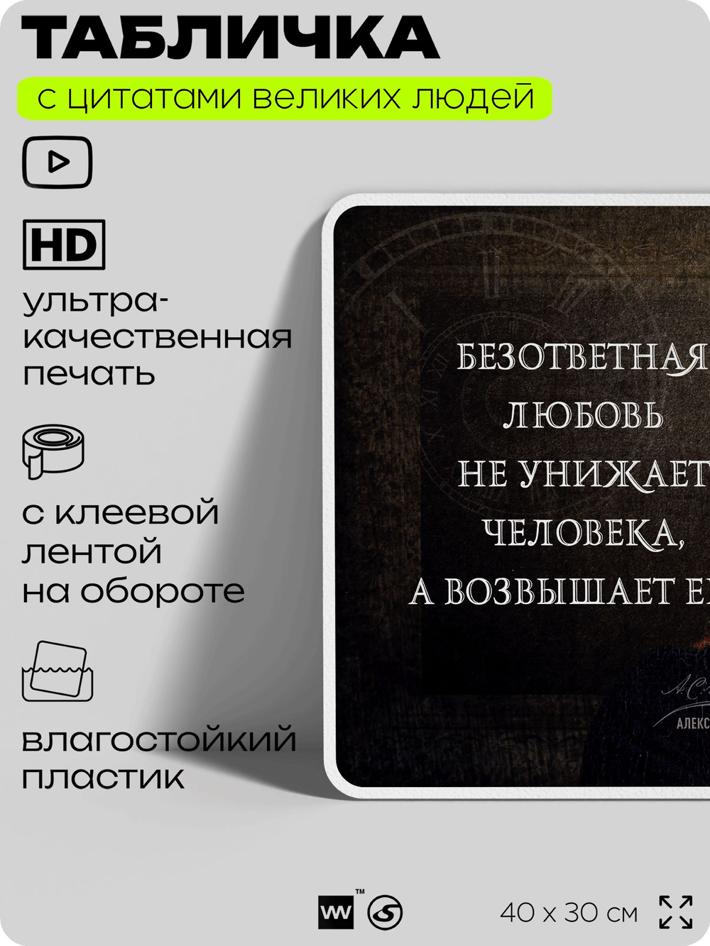 Литературный постер с цитатой А. С. Пушкина для школы, на стену, на пластике, для интерьера, 40х30 см, Silver Plane x Айдентика Технолоджи