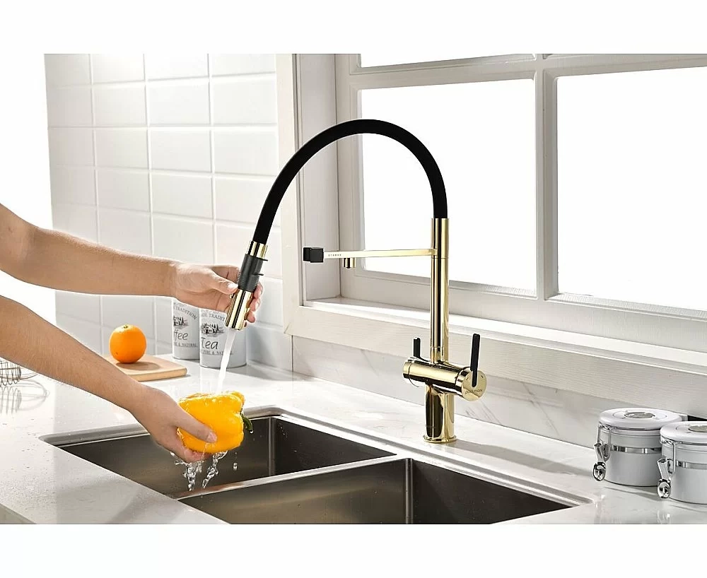 Смеситель для кухни Paulmark Gravity Gr213888-G золото