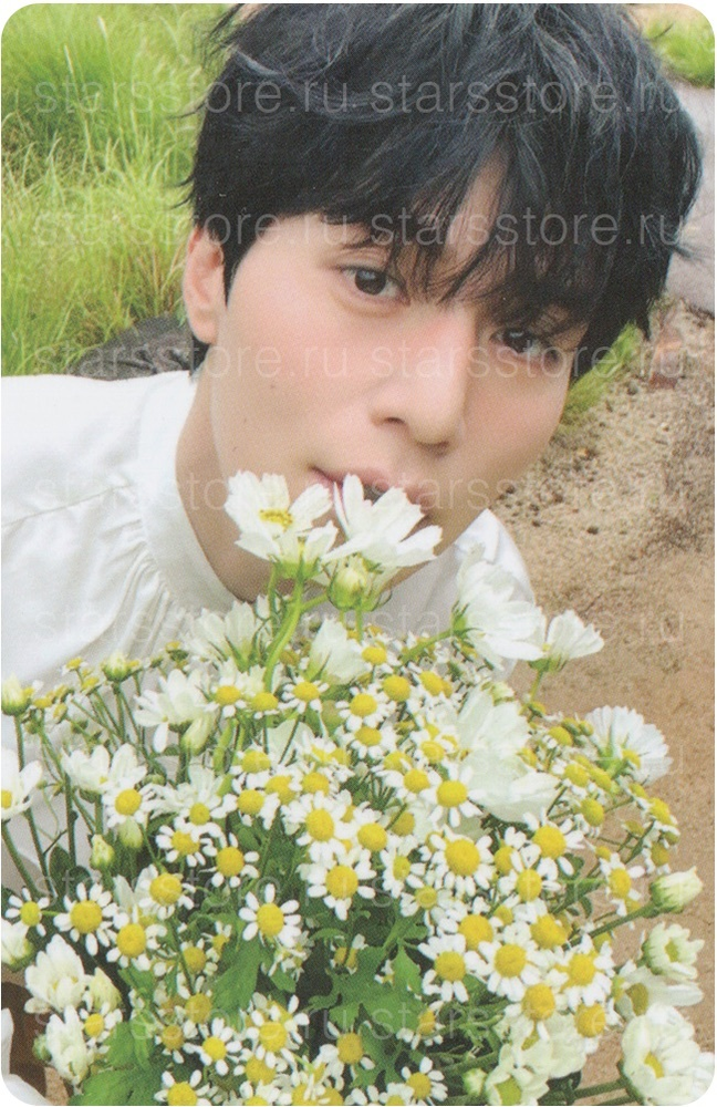 Фотокарта LEE DONG WOOK - 2025 SEASON&#39;S GREETINGS [Fariy Tale Dream] (SOUNDWAVE)