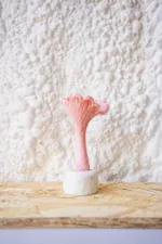 Купить Свеча Unification Love Гриб Лисичка розовая (Черная смородина) Свеча Unification Love Гриб Лисичка розовая (Черная смородина)