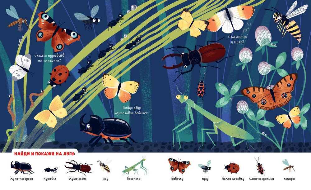 Найди и покажи. Мои любимые животные