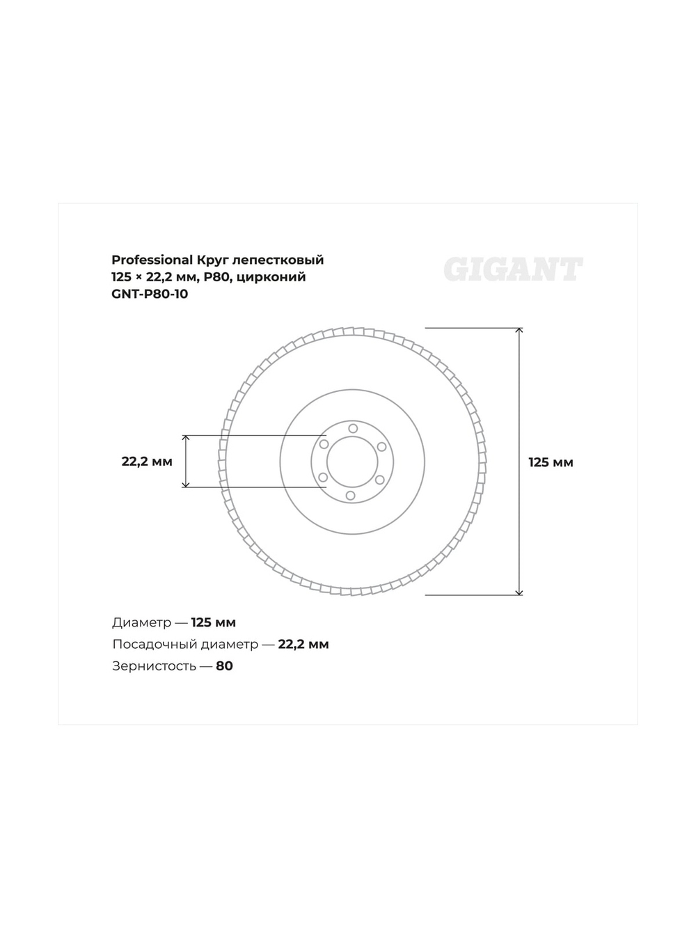 Круг лепестковый 125x22,2 мм; P80; цирконий, 10 шт Gigant Professional GNT-P80-10
