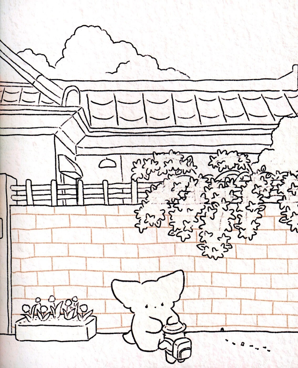 Sogumi's Desert Fox. Coloring book