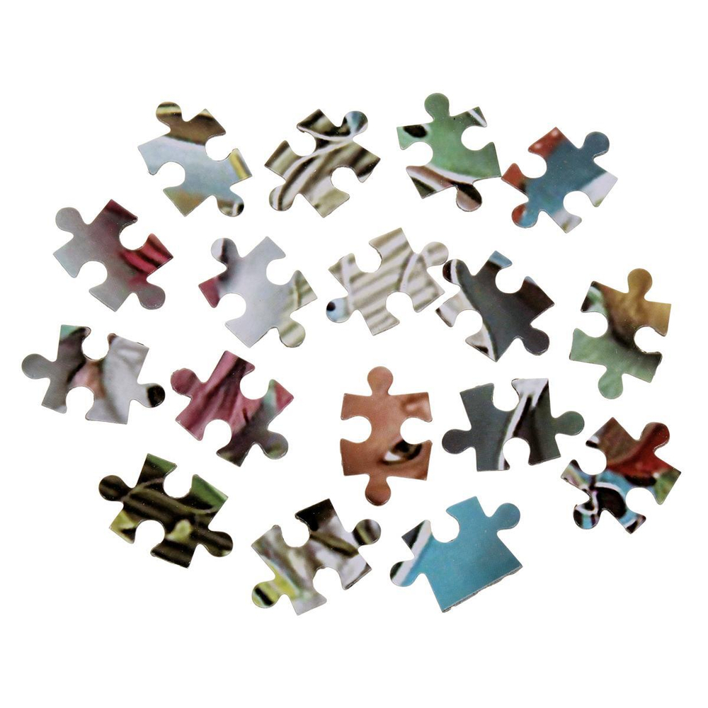 Пазл 1000эл., коробка C-42117