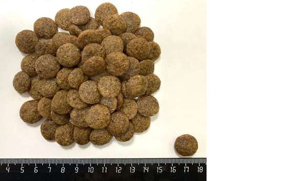 Сухой корм Shelly Delicate для взрослых собак всех пород, с ягненком и говядиной