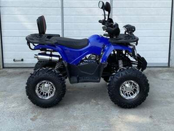Квадроцикл GRIZZLY Aerox 125cc New 2022