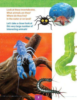 No Bones. Уровень 3 (3-4 класс)  Книга для чтения с доступом к электронному приложению