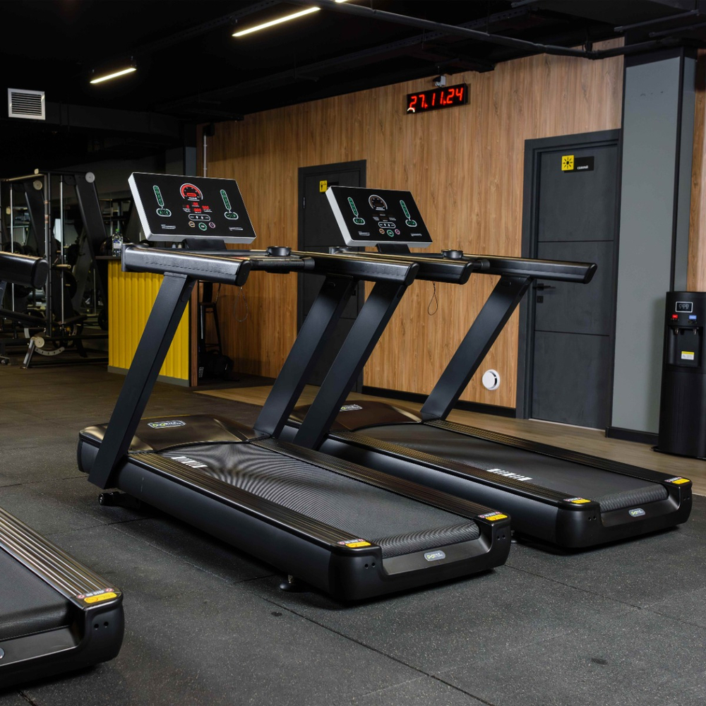 Профессиональная беговая дорожка DHZ X-8600P