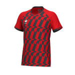 Футболка тренировочная Evolution 24 Training T-shirt — Academy red/anthracite