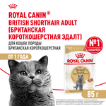 Royal Canin British Shorthair Adult (БРИТАНСКАЯ КОРОТКОШЕРСТНАЯ ЭДАЛТ) Корм консервированный для взрослых кошек соус 85г
