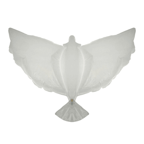 Голубь. Белый.