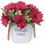 Цветочная композиция «Мечта» 10*20см Ромашки бордовые