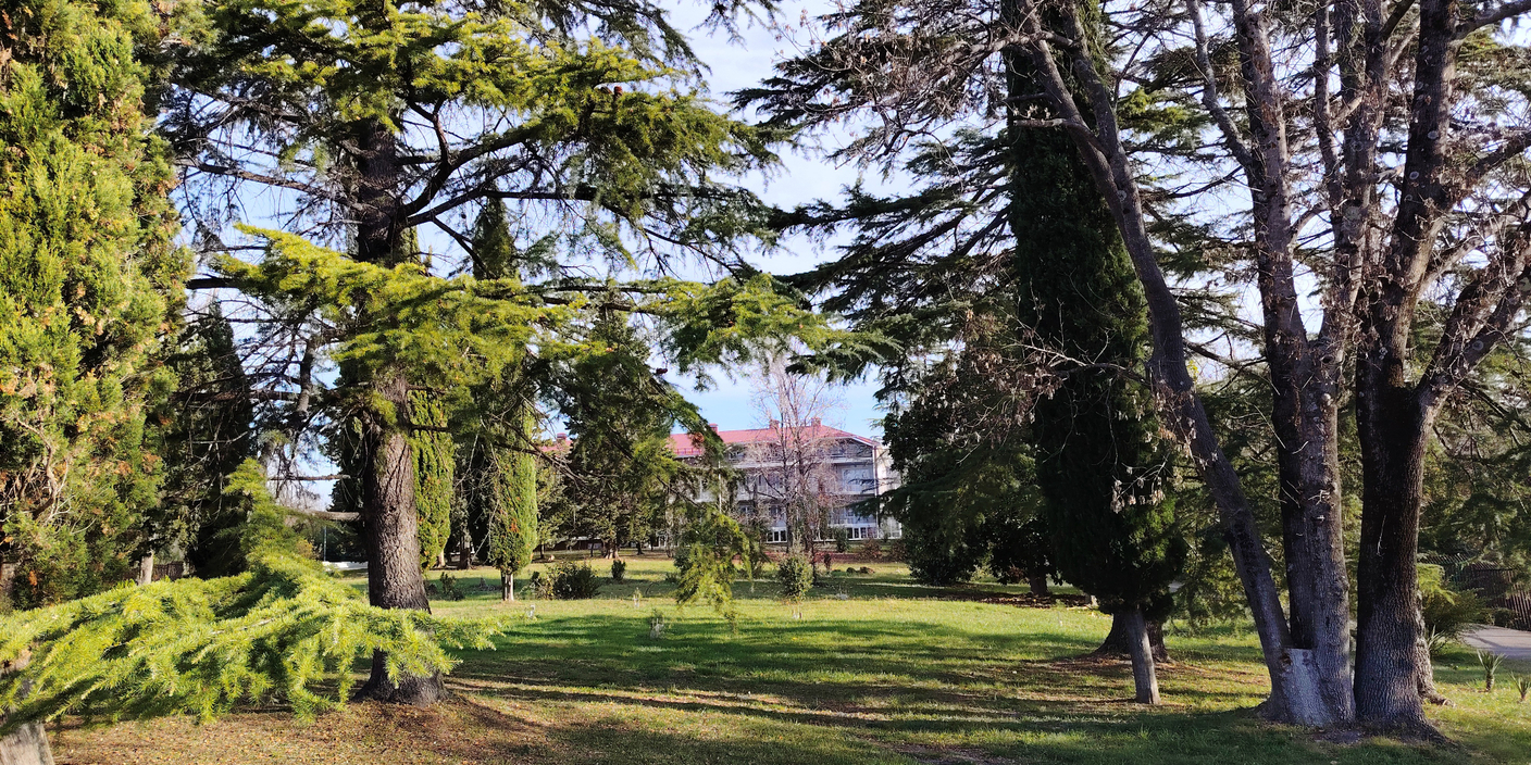 Пансионат МГУ "БУРЕВЕСТНИК"