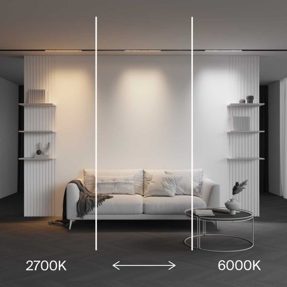 Трековый светильник Maytoni Technical EXILITY X Points TR241-4-12WTW-DSZ-B