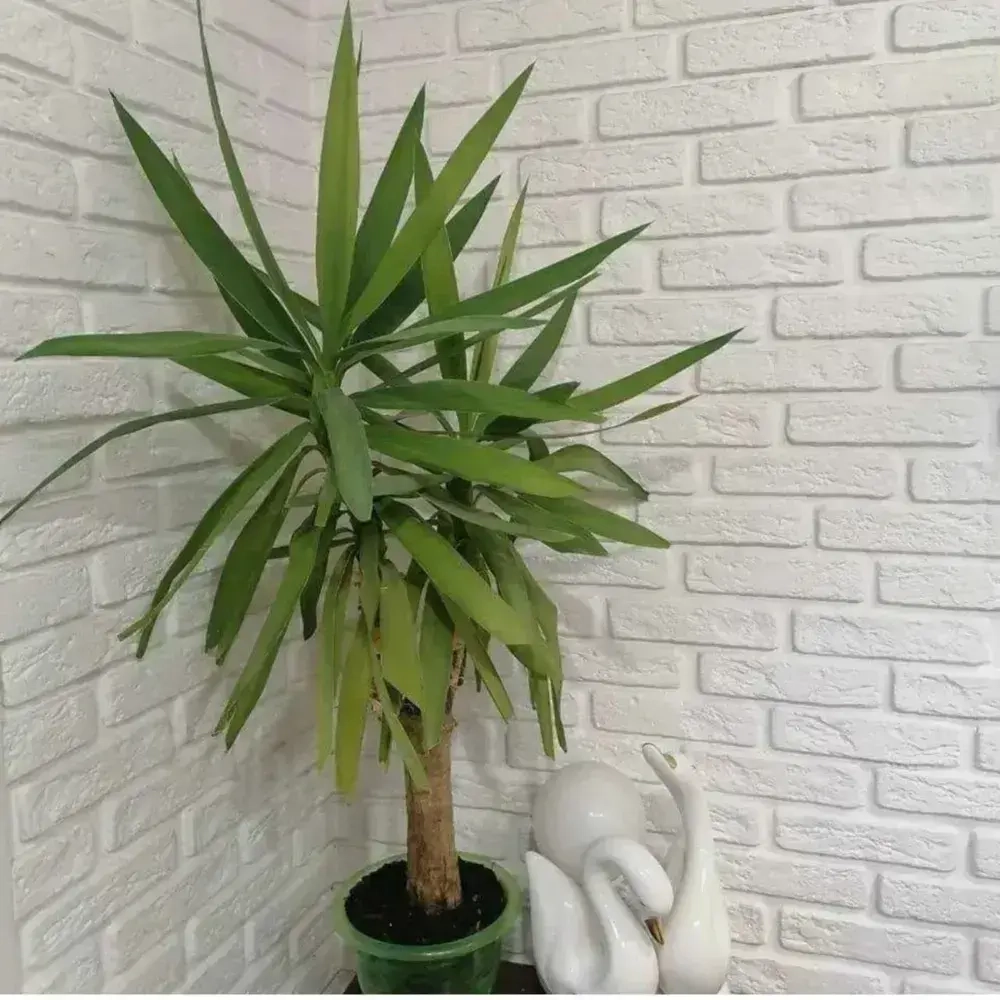 Декоративный кирпич из гипса / Гипсовый камень для отделки 18,5х4.5см