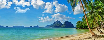 Фотообои Морской берег (Ширина 7,3 м)