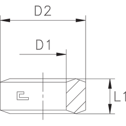 Шайба BSP1/4" (o-ring)