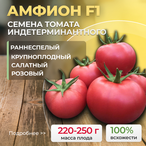 АМФИОН_F1_семена_томата_Vilmorin_купить_семена