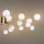 Потолочный светильник Freya FR5242CL-24BS1