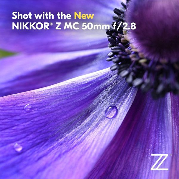 Новая оптика для байонета Z: сразу четыре новых объектива Nikon!