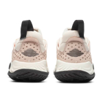 Кроссовки Jordan, CT1003-800