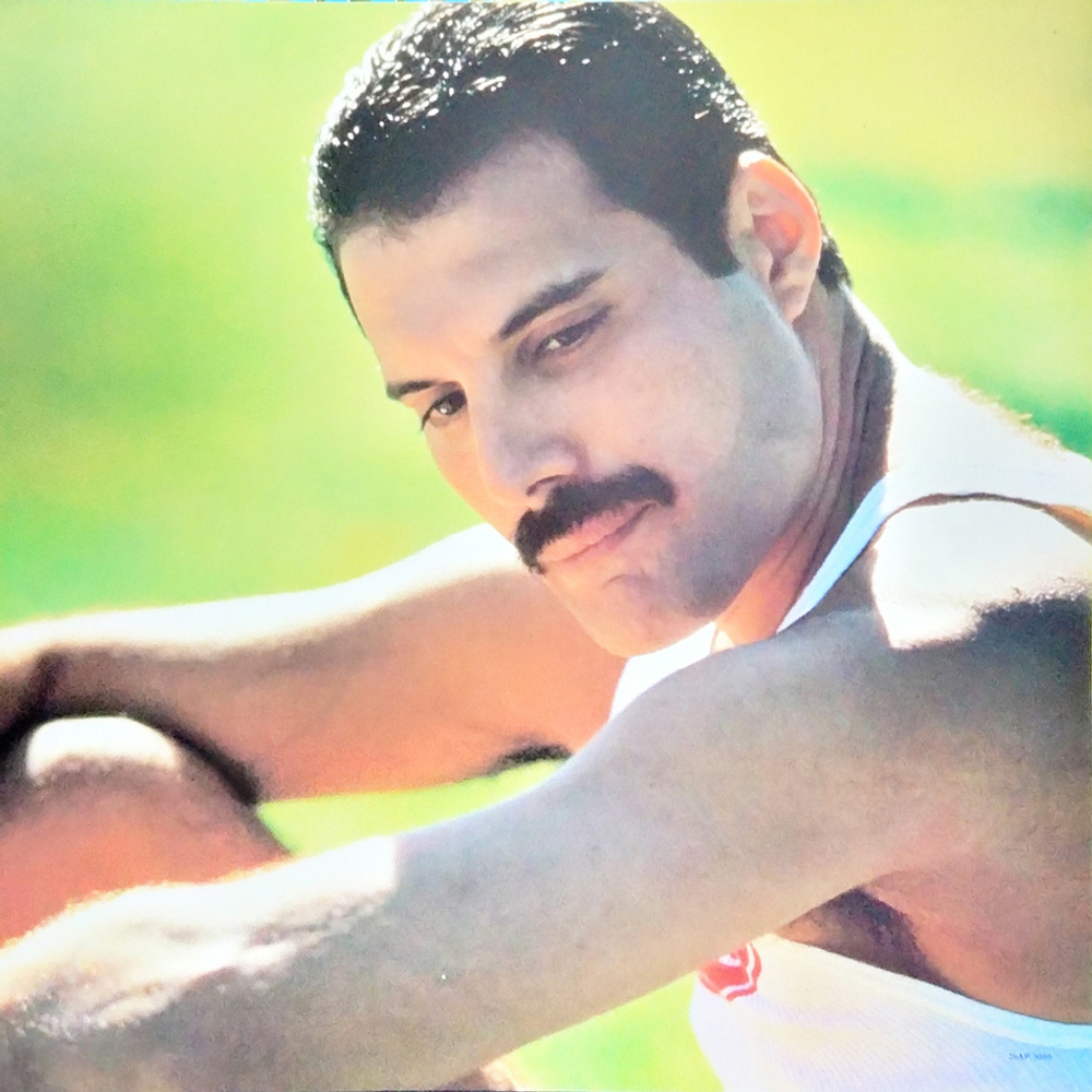 Freddie Mercury / Mr. Bad Guy (LP)