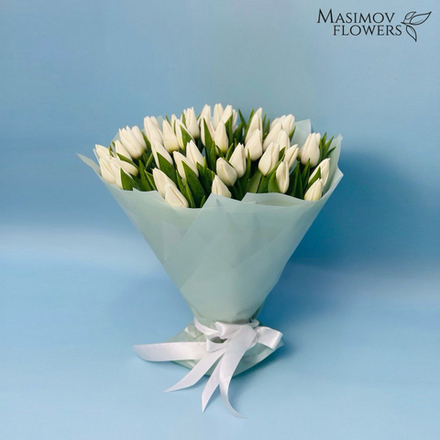 Букет из 25 тюльпанов "Монблан"