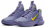 Кроссовки Nike Ambassador 13 Lebron Lakers 13