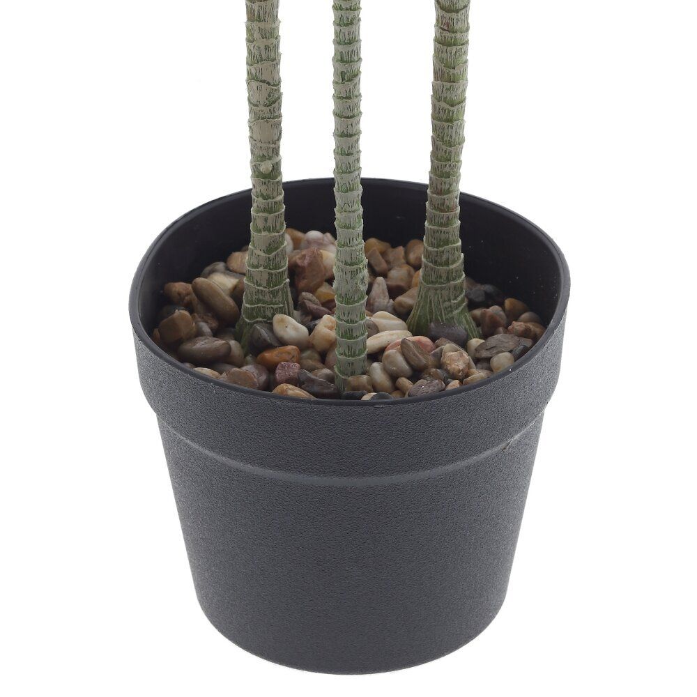 GAEM Цветочная композиция "Драцена", L75 W60 H133 см