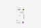BOROFONE BM93 Platino (Type-C)_0326709105919