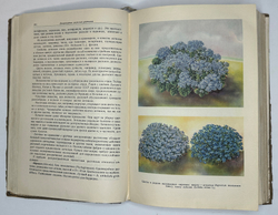 Г. Киселёв. Цветоводство., изд. 1949 г. Подарочное издание с цветными иллюстрациями.